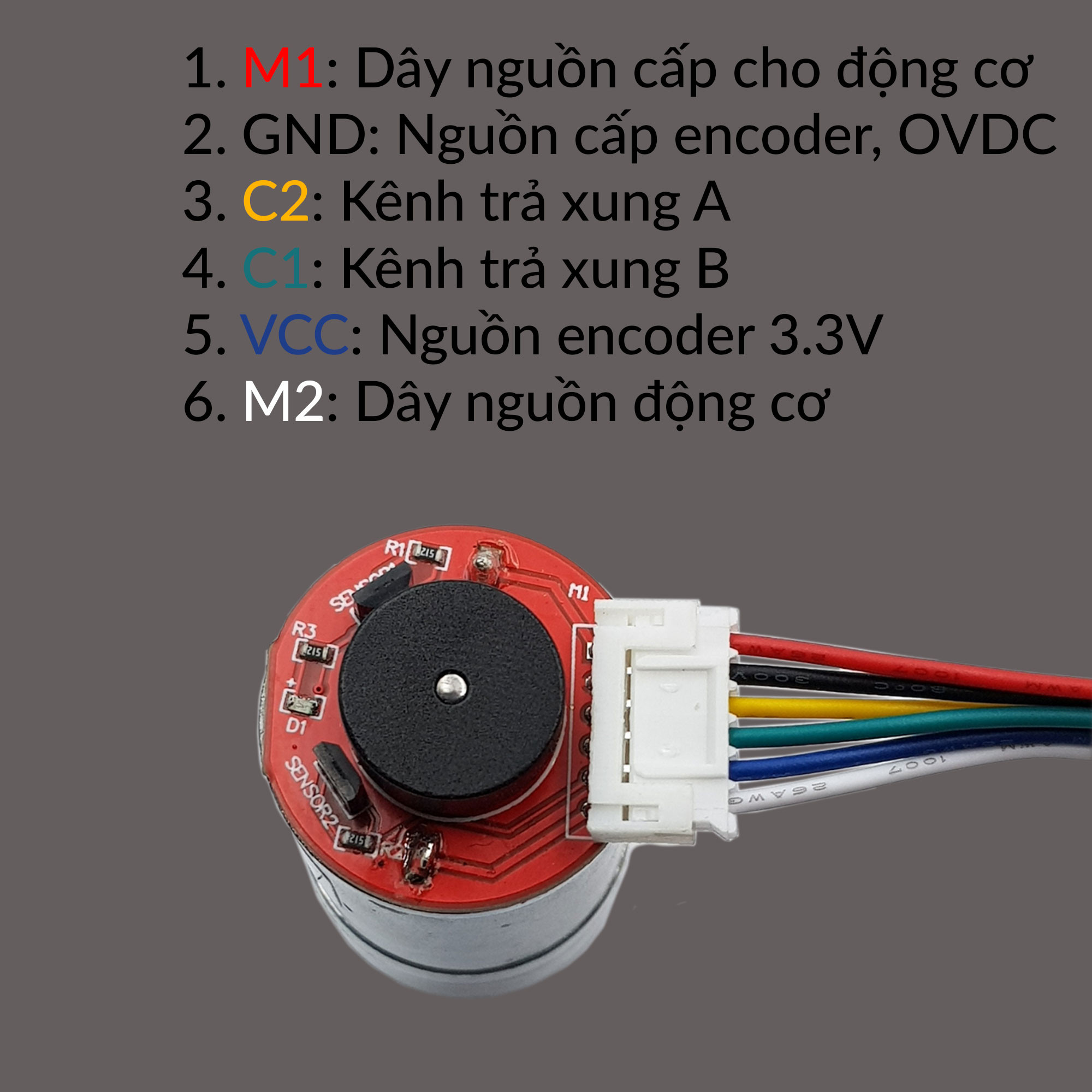 Sơ đồ đấu dây chi tiết các chân tín hiệu của encoder và motor trên động cơ DC GA25 Encoder