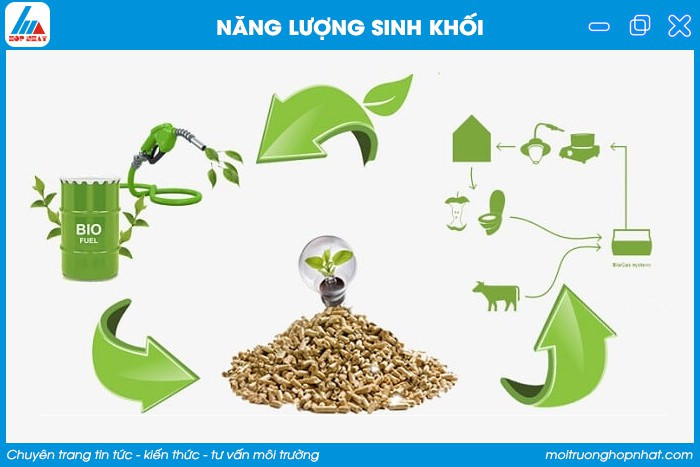 Nhà máy điện sinh khối, chuyển hóa vật liệu hữu cơ thành năng lượng, góp phần giảm thiểu rác thải và phát thải