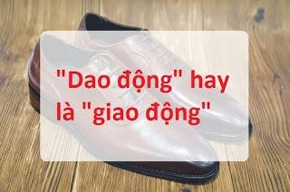 Định nghĩa từ dao động theo Hán Việt