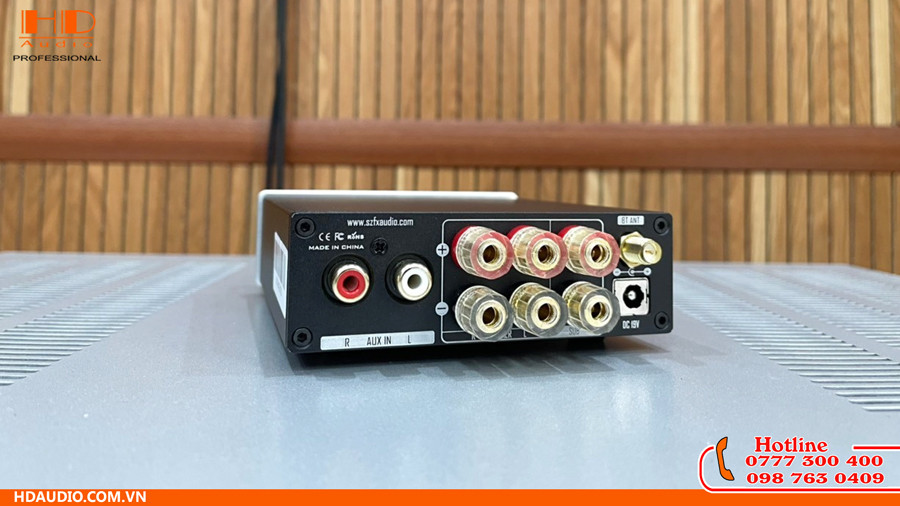 Toàn cảnh bộ khuếch đại âm thanh FX-Audio XL01 từ phía sau với các cổng kết nối rõ ràng