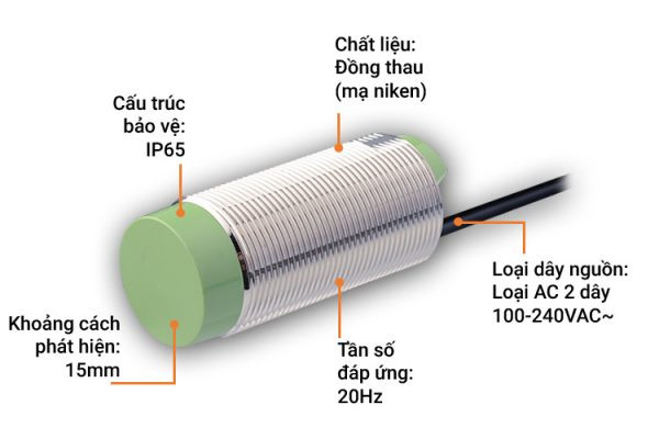 Mô tả cấu tạo bên trong của cảm biến tiệm cận điện dung