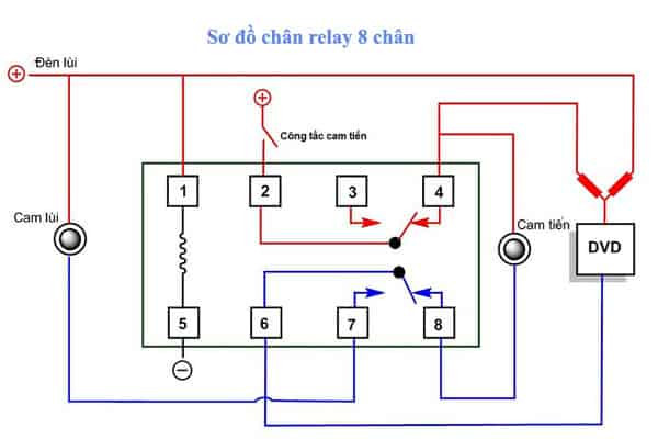 Chi tiết sơ đồ chân relay trung gian 8 chân và cách đấu dây