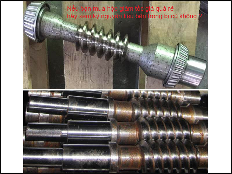 Cốt của hộp số giảm tốc trục vít chất lượng yếu hơn