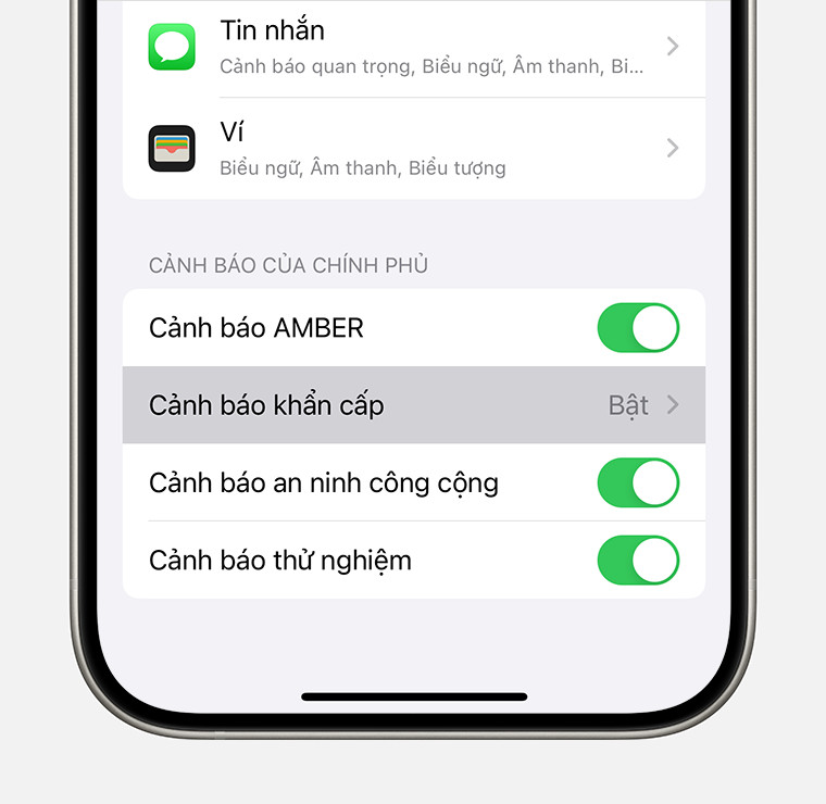 Menu cảnh báo khẩn cấp trên iPhone với các tùy chọn tùy chỉnh âm thanh cảnh báo và kiểu thông báo