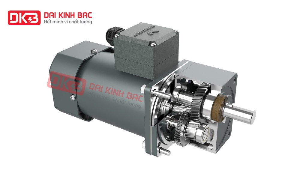 Cấu tạo chi tiết mô tơ giảm tốc mini 220V với thân động cơ và đầu hộp số