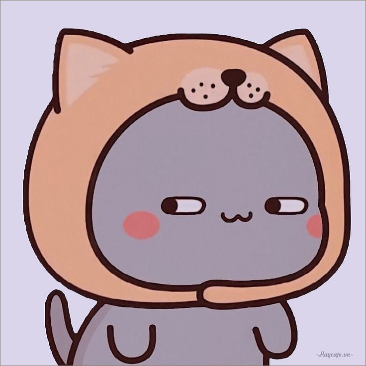 Hinh-dai-dien-meo-chibi-6