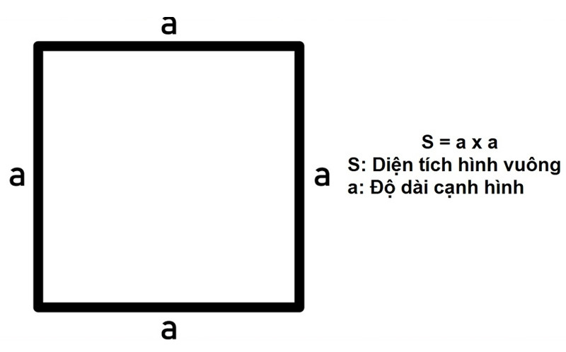 Đo đạc và tính diện tích khu đất có hình dạng phức tạp