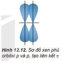 Minh họa sự xen phủ bên của orbital p tạo liên kết pi