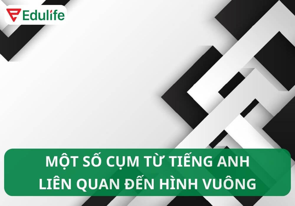 Thành ngữ và cụm từ tiếng Anh với "Square"