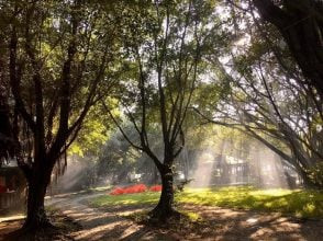 Không gian rộng rãi, thoáng đãng với nhiều cây xanh tại khu du lịch sinh thái Bò Cạp Vàng