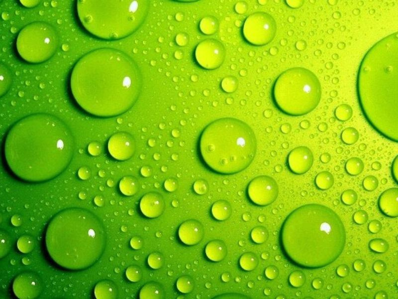 Hình ảnh màu xanh lục mang ý nghĩa truyền thống về sự sống và môi trường