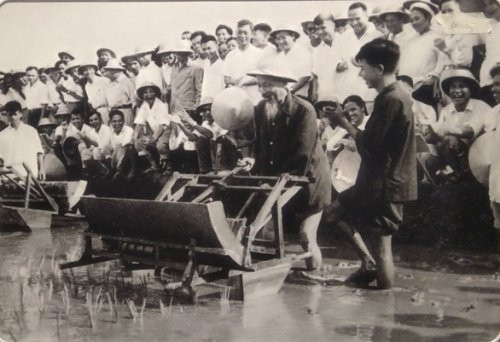 Hình ảnh Bác Hồ thử máy cày cải tiến năm 1960