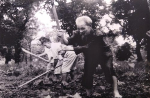 Hình ảnh Chủ tịch Hồ Chí Minh cuốc đất làm vườn tại Phủ Chủ tịch năm 1957