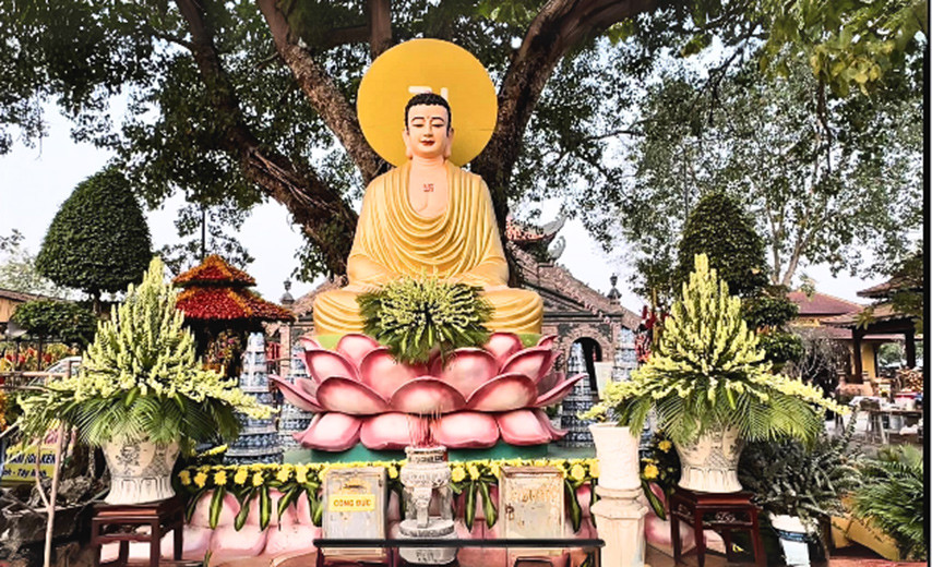 Phật Thích Ca Mâu Ni thiền tu an tĩnh dưới tán bồ đề cao tuổi xum xuê