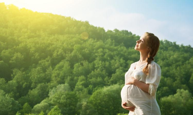 Bụng bầu thay đổi qua từng tháng liệu có đoán được giới tính thai nhi không