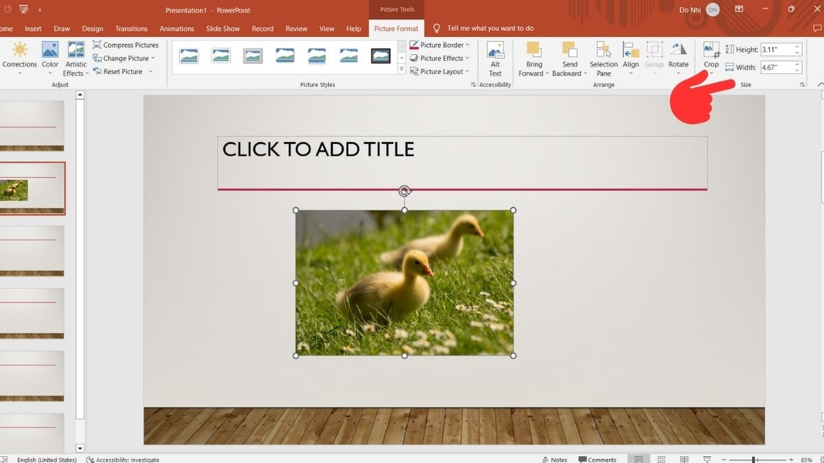 Bước 2: Cách thay đổi kích thước hình đã chèn trên Powerpoint