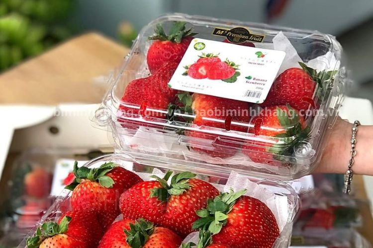 Dán tem nhãn trên hộp nhựa JB-S1 giúp quảng bá thương hiệu
