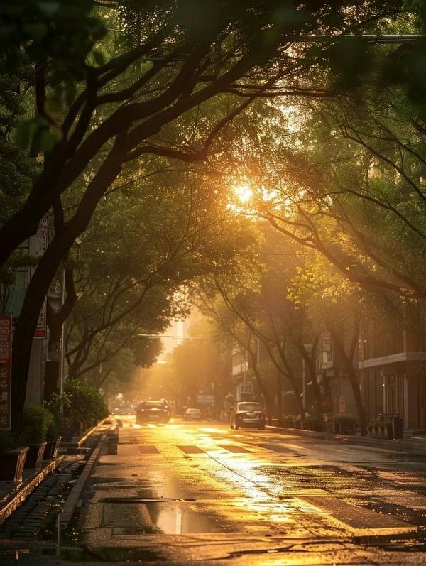 Con đường vắng vẻ với hàng cây và ánh đèn mờ ảo