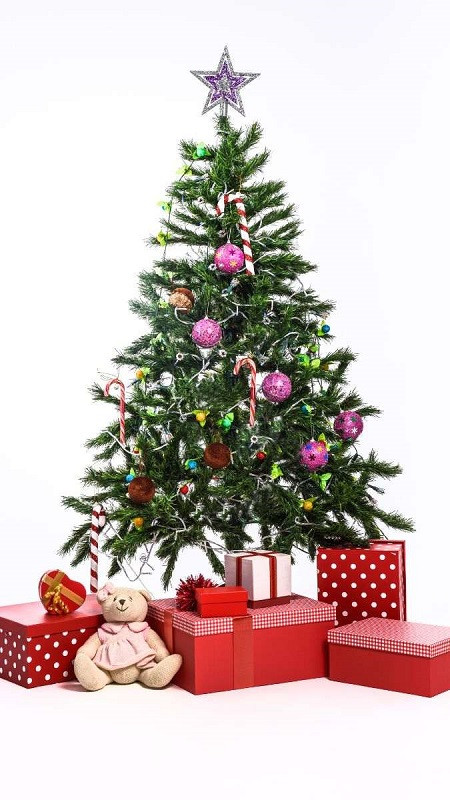Cây thông Noel lấp lánh ánh đèn và đồ trang trí rực rỡ dưới bầu trời đêm
