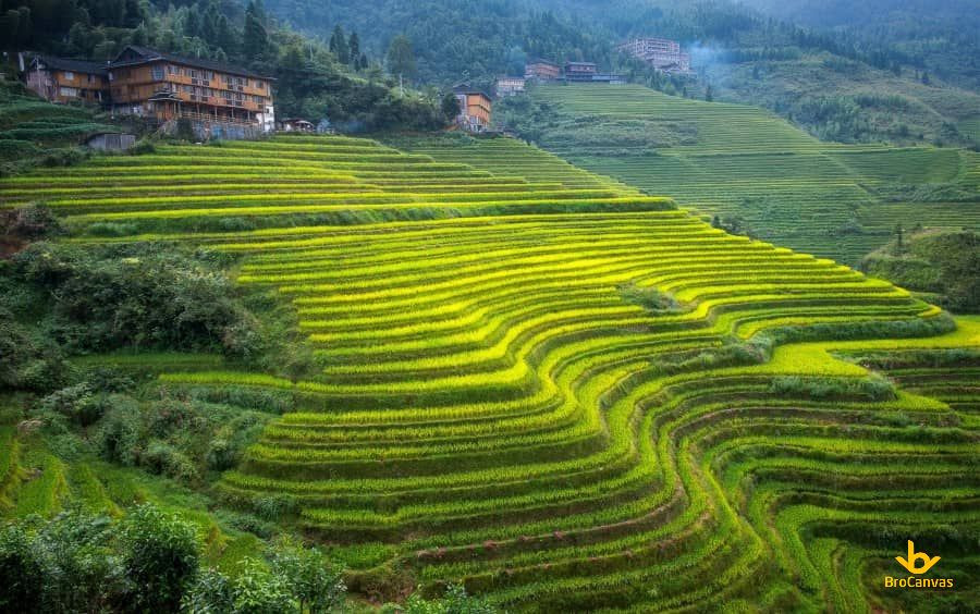 Ngôi làng nhỏ yên bình bên những thửa ruộng bậc thang