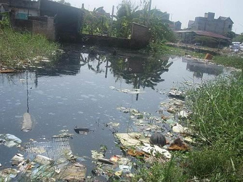 Học sinh tham gia dọn dẹp rác thải tại bờ biển, góp phần bảo vệ môi trường