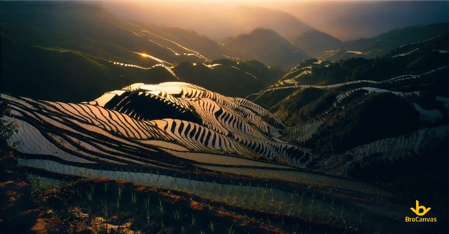 Ruộng bậc thang mờ ảo trong sương sớm