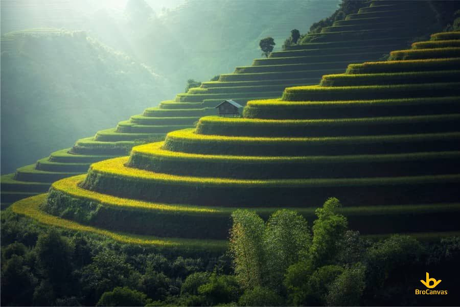 Bình minh tuyệt đẹp trên cánh đồng quê