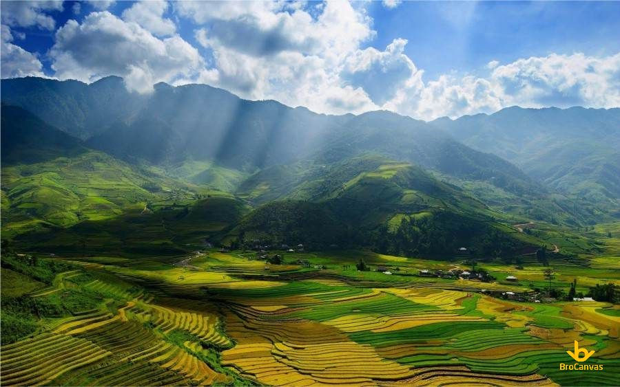 Ánh nắng ban mai len lỏi qua thung lũng xanh