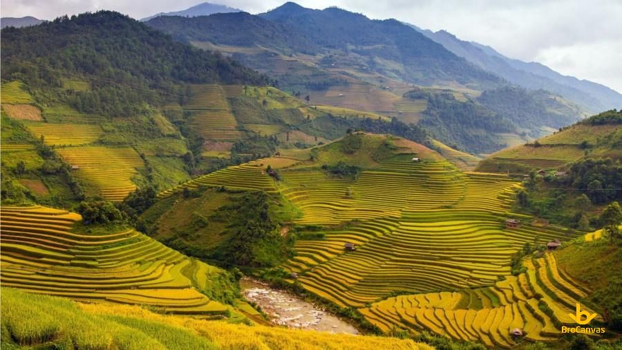 Ruộng bậc thang trùng điệp, trải dài ngút ngàn