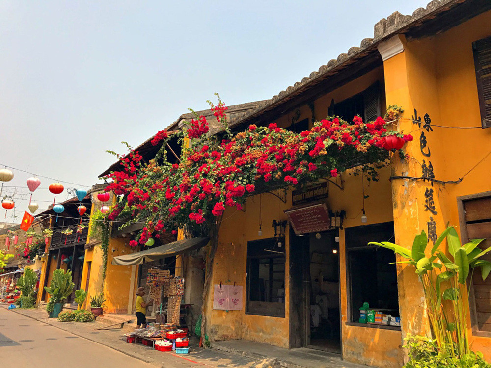 Một ngôi nhà cổ ở Hội An được trang trí với giàn hoa giấy rực rỡ sắc màu