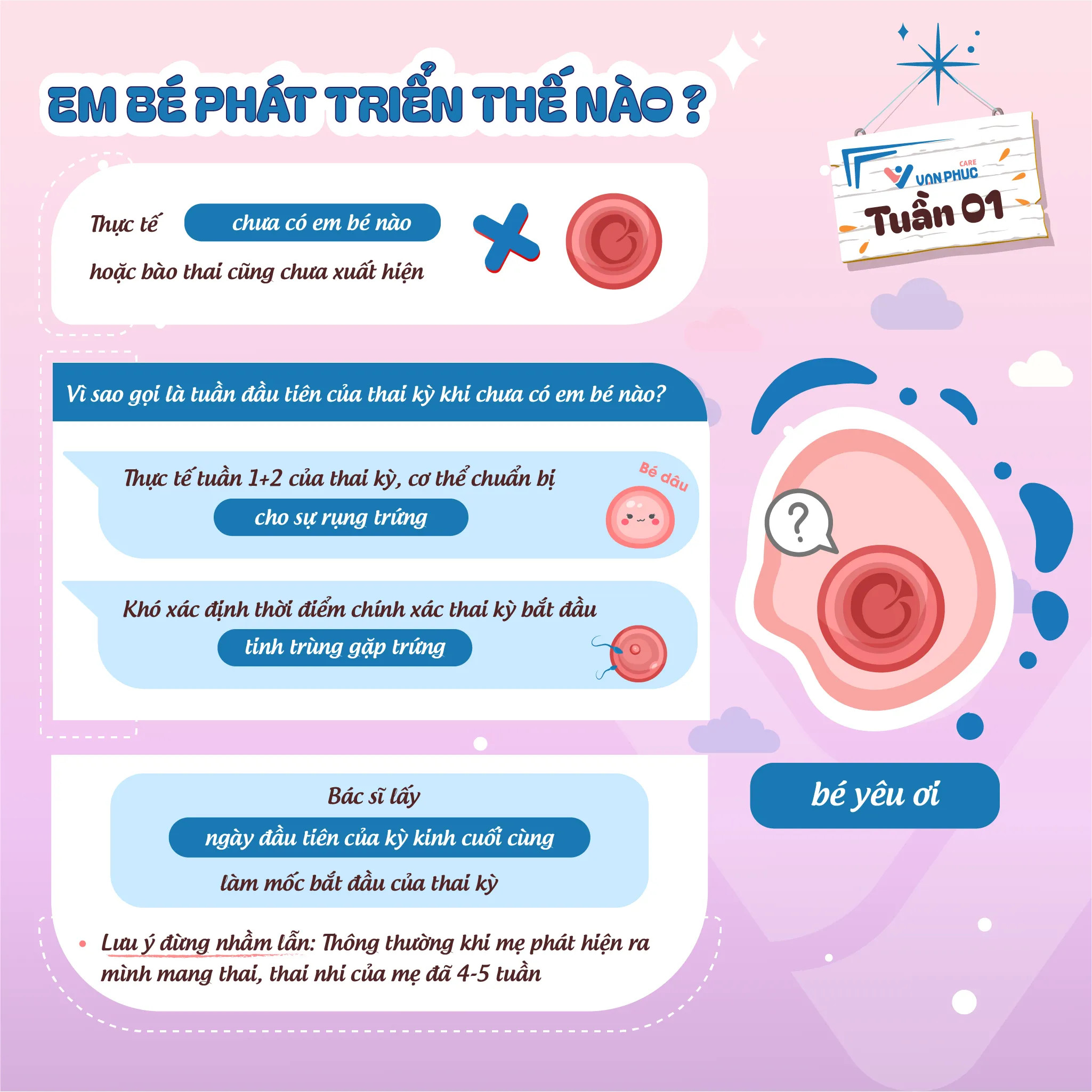 Quá trình thụ tinh tạo thành hợp tử giữa trứng và tinh trùng