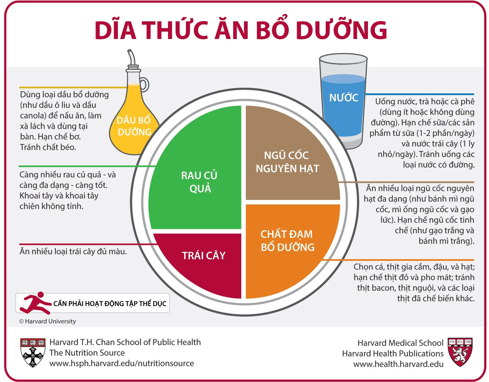 Đĩa ăn lành mạnh kiểu Việt Nam, chia thành các phần rau củ quả, ngũ cốc, đạm