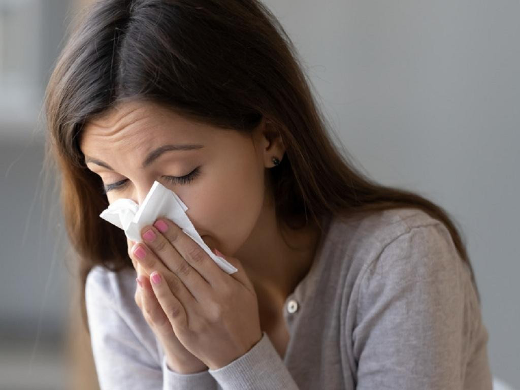 Các thành phần của bài thuốc đông y có cây cỏ xước giúp trị sổ mũi hiệu quả.