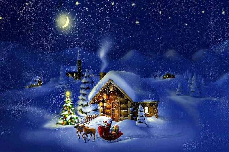 Cây thông Noel được trang hoàng bởi các phụ kiện handmade và ánh đèn ấm áp