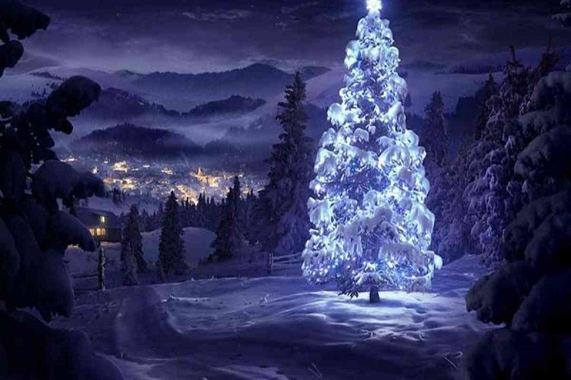 Hình ảnh cây thông Noel với phong cách mộc mạc, gần gũi