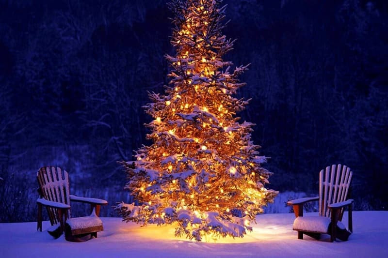 Cây thông Noel được trang trí lộng lẫy trong không gian rộng lớn