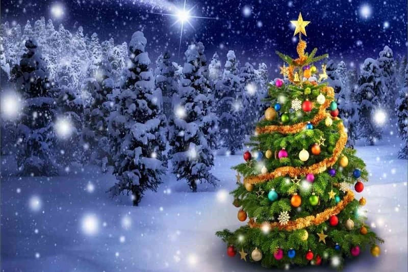 Cây thông Noel với nhiều quả châu và dây kim tuyến rực rỡ