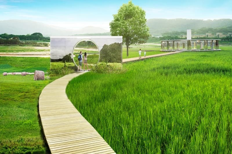 Bình minh trên thảo nguyên với những cây xanh thấp thoáng