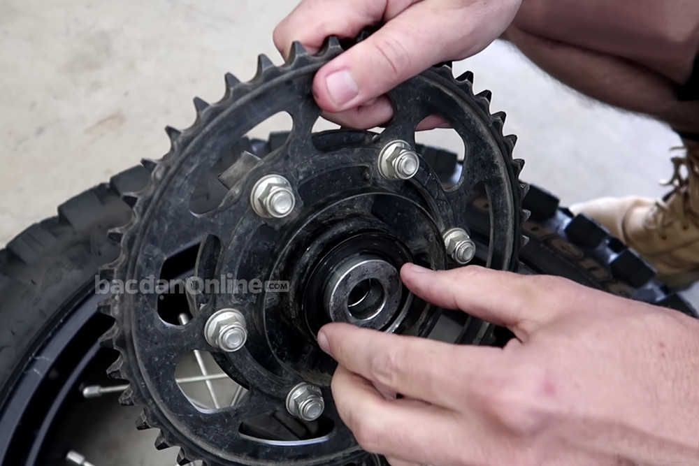 Xe bị bể bạc đạn bánh sau