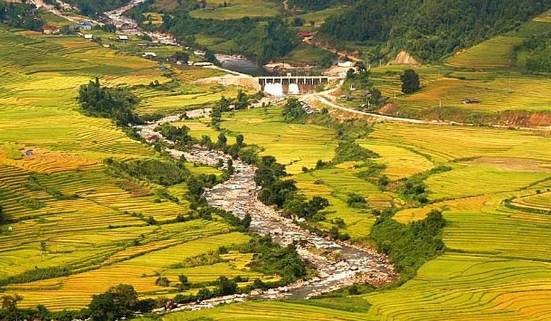 Cánh đồng lúa bậc thang Mường Hum
