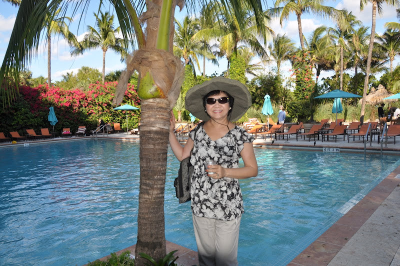 Hồ bơi trong khu nghỉ dưỡng ở North Miami Beach, một không gian thư giãn