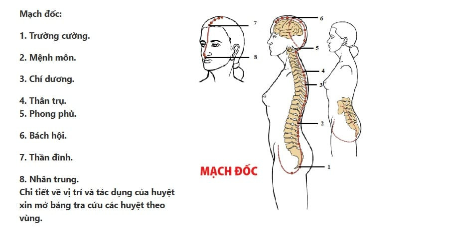 Sơ đồ đường mạch Đốc chạy dọc cột sống và đỉnh đầu