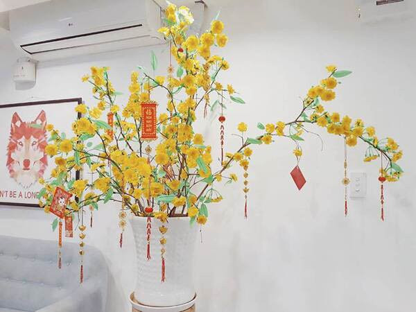 Cành mai trang trí không gian Tết đẹp