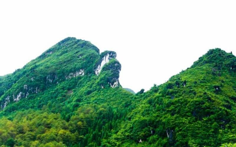 Núi Hàm Rồng với vườn hoa rực rỡ