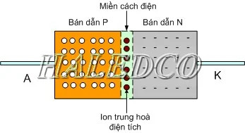 P và N tiếp xúc trên Diode