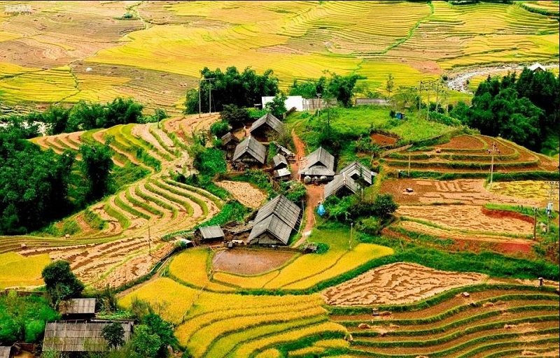Thung lũng Mường Hoa với những thửa ruộng bậc thang