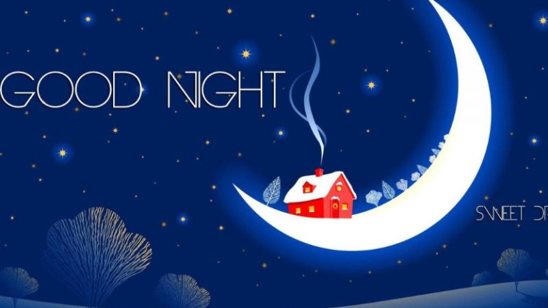 Ảnh chúc ngủ ngon dễ thương, dịu dàng cho phái nữ